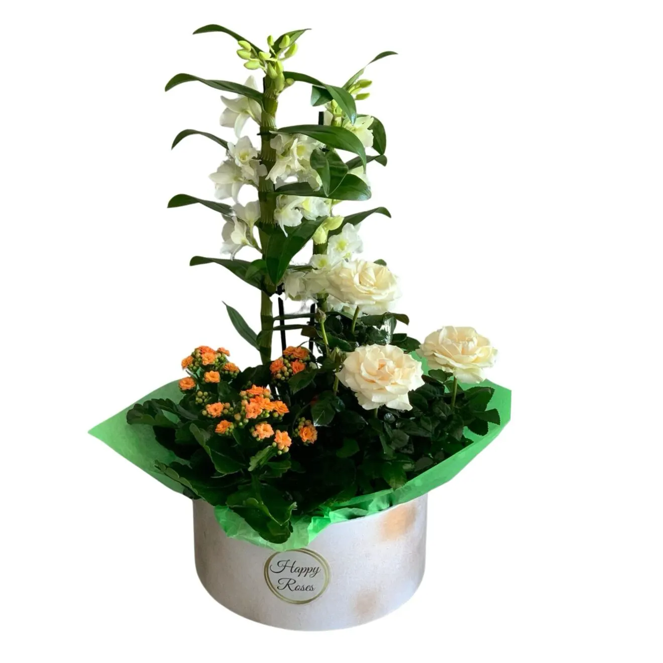 Aranjament cu plante Eleganță Naturală