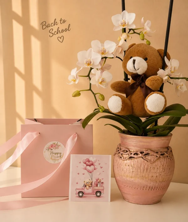 Aranjament Berry Orchid